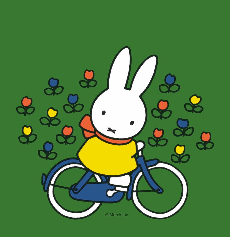 Nijntje op de fiets (2+)