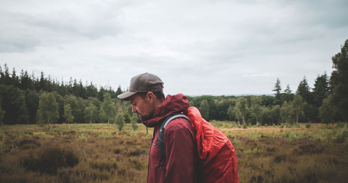 Wanderings — Tim Knol