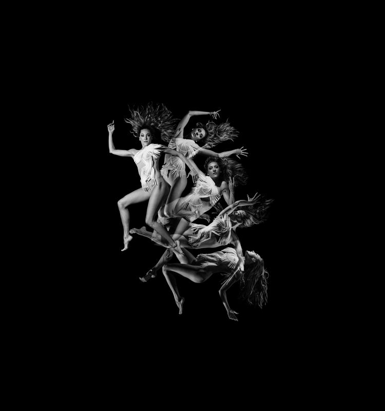 Anima Obscura